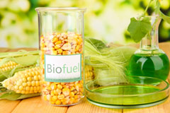 Denton biofuel availability