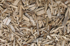 biomass boilers Denton